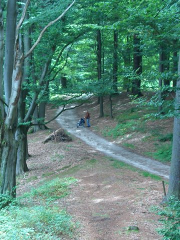 kasteelkynzvartpark.jpg